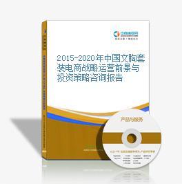 2016-2020年中國文胸套裝電商戰(zhàn)略運營前景與投資策略咨詢