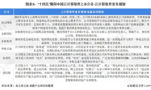 2021年云計(jì)算軟件行業(yè)上市公司全方位對(duì)比 業(yè)務(wù)布局、業(yè)績(jī)表現(xiàn)與未來(lái)戰(zhàn)略分析