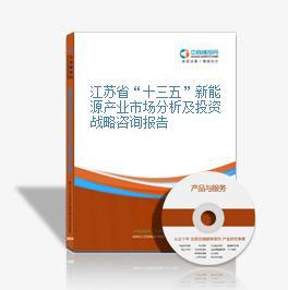 江蘇省“十三五”新能源產(chǎn)業(yè)市場(chǎng)分析及投資戰(zhàn)略咨詢(xún)報(bào)告