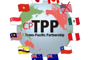 CPTPP可能在部分自貿試驗區和海南自貿港先行先試